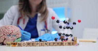 Masa başındaki tahta bloklar Norepinephrine kelimesinin yanında beyin ve moleküler modeller. Kadın nörolog stres hormonu sinyallerini açıklayan notlar yazıyor.