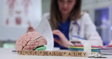 Tahta bloklar beyin modelinin önünde 