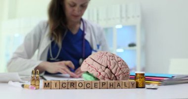 Tahta küpler anatomik beyin modelinin yanında hastanın teşhisini belirten kelime mikrosefali oluştururlar. Doktor test sonuçlarını dikkatle inceler.