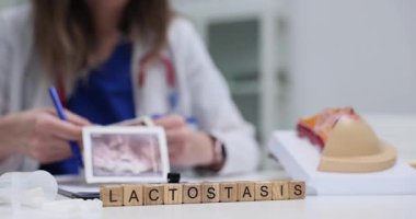 Doktor göğüs ultrasonu görüntülerini inceler ve tıbbi tablolarda gözlemler yazar. Tahta küpler anatomik göğüs modelinin yanında laktozis oluşturur.