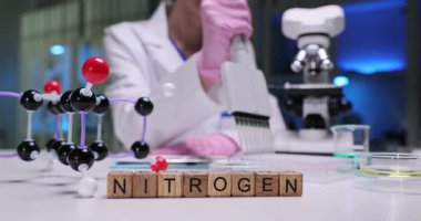 Kimya laboratuarında moleküler yapı modeli tarafından ahşap küplerin üzerindeki nitrojen kelimesi. Kadın asistan, iş yerindeki mikroskop ile numunelere damlatıyor