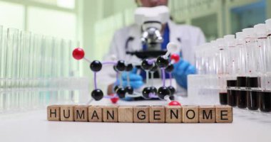 Tahta küplerde DNA modeline yakın İnsan Genomu yazılıyordu. Genetik bilimci mikroskobu düzeltirken raftaki cam tüplerin yanında kan örneklerini inceliyor.