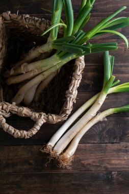 Taze Calcots soğanı geleneksel Katalan kış yemeği