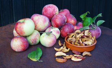 신선 하 고 말린 사과