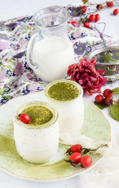 Healthy breakfast - yogurt homemade with green tea matcha — Stock Photo, Image