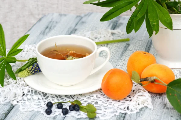 Cake with blueberries and apricots — Stock Photo, Image