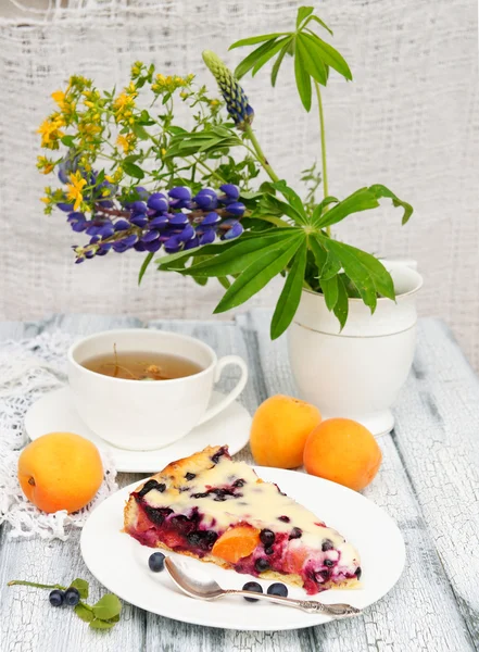 Cake with blueberries and apricots — Stock Photo, Image