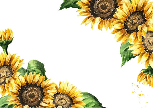 Aquarell Blumenkranz Mit Sonnenblumen Blattern Laub Zweigen Farnblattern Und Platz Fur Ihren Text Grun Anlage Stock Photo 270307638