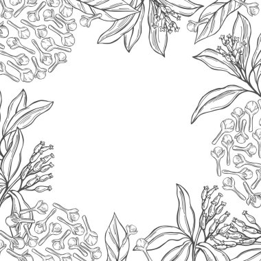 El çizimi karanfilli vektör arkaplanı. Kapsüller ve çiçekler. Çizim çizimi.