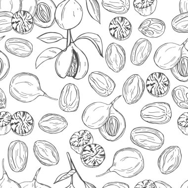 El yapımı hindistan cevizi. Vektörsüz desen. 