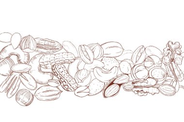 Elle çizilmiş fındıklı vektör arka planı. Çizim çizimi.