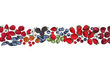 El yapımı böğürtlen. Frenk üzümü, çilek, yaban mersini, böğürtlen, kiraz. Vektör arkaplanı. Çizim çizimi.