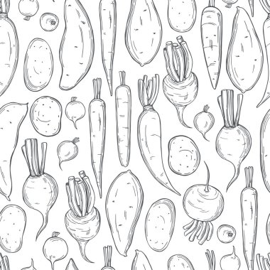 Beyaz arka planda elle çizilmiş kök sebzeler