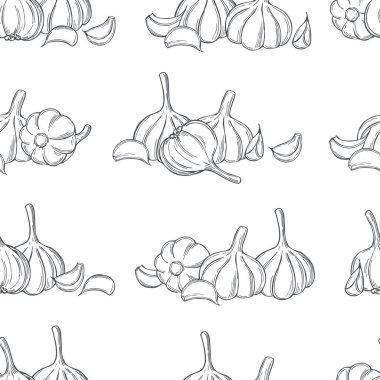 Beyaz arka planda elle çizilmiş sarımsak.