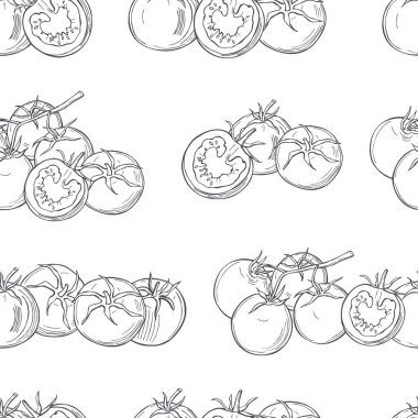 Beyaz arka planda el çizimi domatesler.