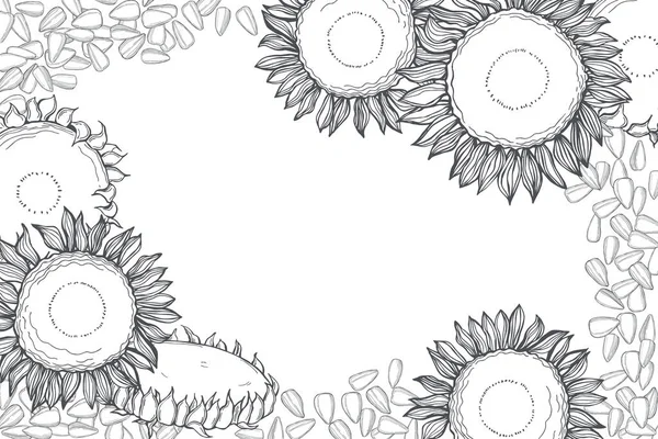 Handgezeichnete Sonnenblumen Blumen Und Samen Vektorhintergrund Skizzenillustration — Stockvektor