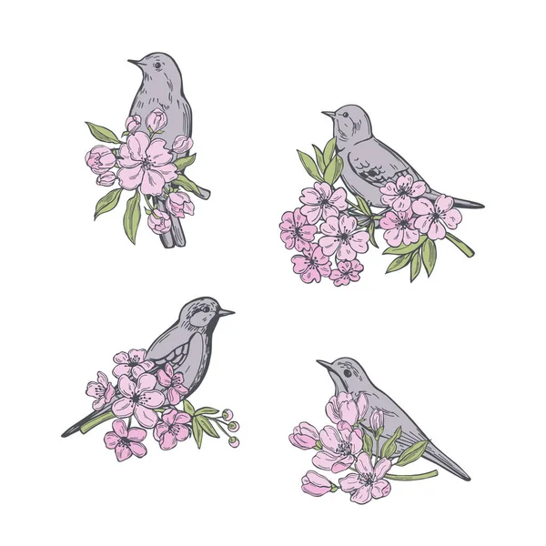 Flores Pájaros Primavera Dibujados Mano Dibujo Vectorial Ilustración — Archivo Imágenes Vectoriales