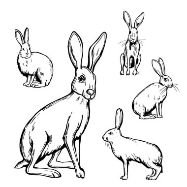 Beyaz arka planda el yapımı tavşanlar. Vektör çizimi çizimi. 