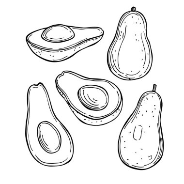 El yapımı avokado. Vektör çizimi çizimi.