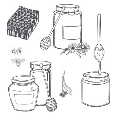 El yapımı bal seti. Vektör çizimi çizimi.