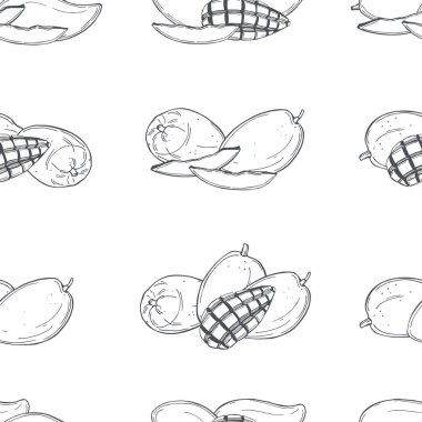 Beyaz arka planda elle çizilmiş mango meyvesi.. 