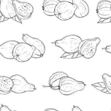 Beyaz arka planda el çizimi guava meyveleri. Vektör pürüzsüz desen. 
