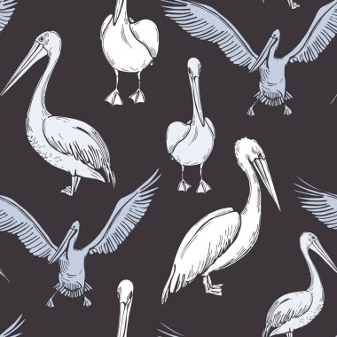 Pelicans  on grey background. Vector seamless pattern