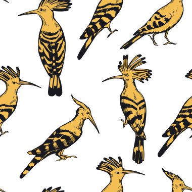 Hand drawn hoopoe birds on white background. Vector seamless pattern