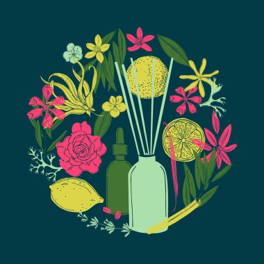 Aromaterapi. Gerekli yağlar. Vektör çizimi çizimi.