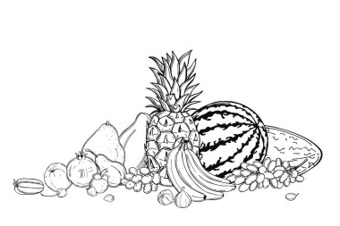 Beyaz arka planda el çizimi meyveler. Vektör çizimi çizimi.