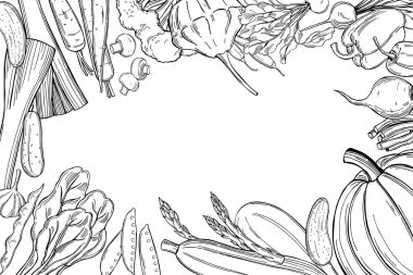 Elle çizilmiş sebzeli vektör arkaplan. Çizim çizimi.  