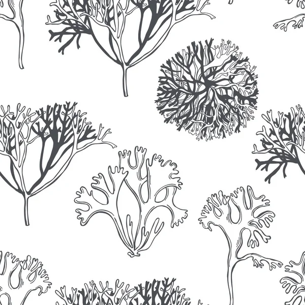 Irish moss, Royaltyfree Irish moss Vector Images & Drawings