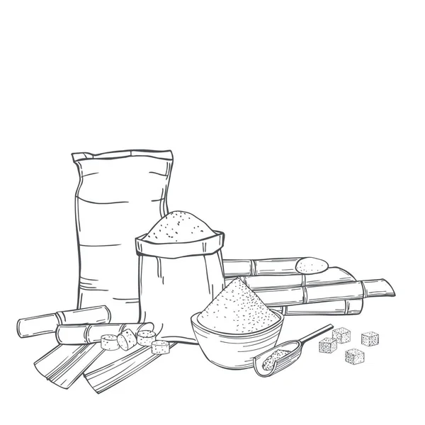 手描きのサトウキビと砂糖の袋 ベクトル背景 スケッチイラスト — ストックベクタ