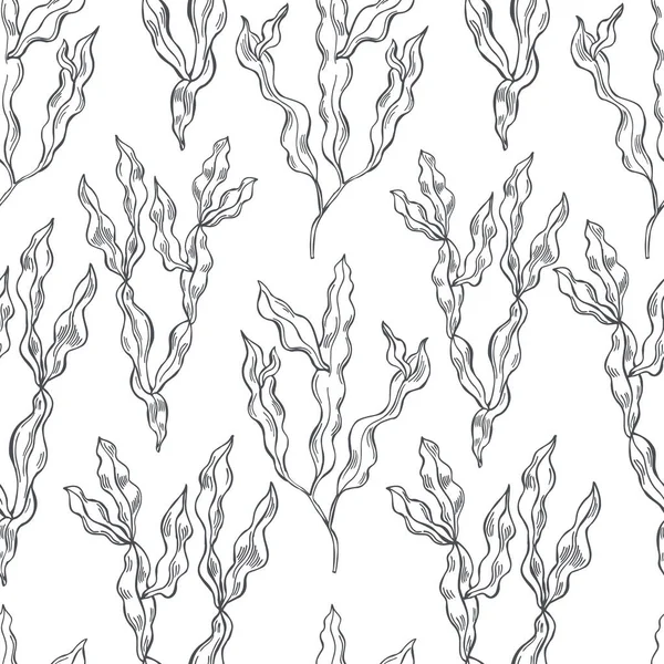 El yapımı yenilebilir algler. Phyllophora nervosa (phyllophora seaweed, deniz lahanası). Kırmızı algler. Vektörsüz desen. 