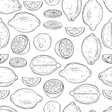 Beyaz arka planda el çizimi limon meyvesi. Kusursuz desen.. 