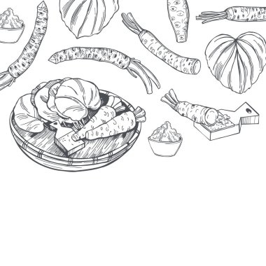 El yapımı yaban turpu wasabi, kök ve yapraklar. Çizim çizimi. Vektör arkaplanı.