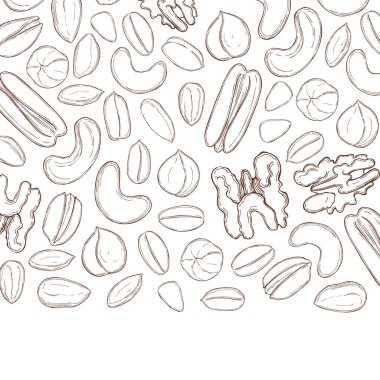 Elle çizilmiş fındıklı vektör arka planı. Çizim çizimi.