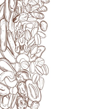 El yapımı kurutulmuş meyve ve fındık. Çizim çizimi. Vektör arkaplanı.