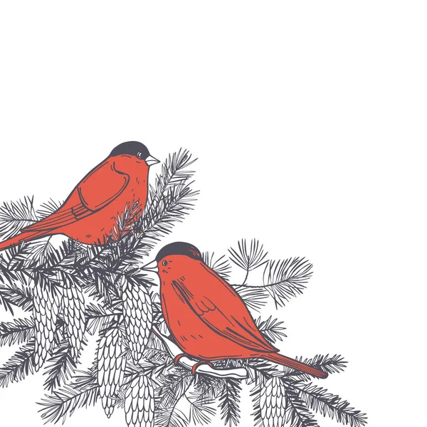 Aves Invierno Dibujadas Mano Bullfinches Sobre Fondos Blancos Dibujo Vectorial — Vector de stock