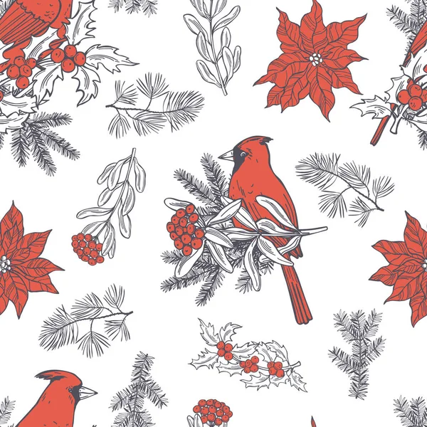 手でベクトルシームレスなパターンは 白い背景に赤の枢機卿 ポインセチアとクリスマスの植物を描きました — ストックベクタ
