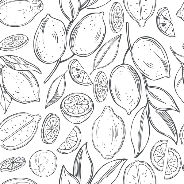 Hand Drawn Lemon Fruits White Background Vector Seamless Pattern — Stock Vector
