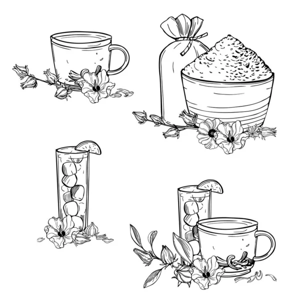 Set Hibisco Dibujado Mano Planta Roselle Acedera Jamaica Rozelle Hibisco — Archivo Imágenes Vectoriales