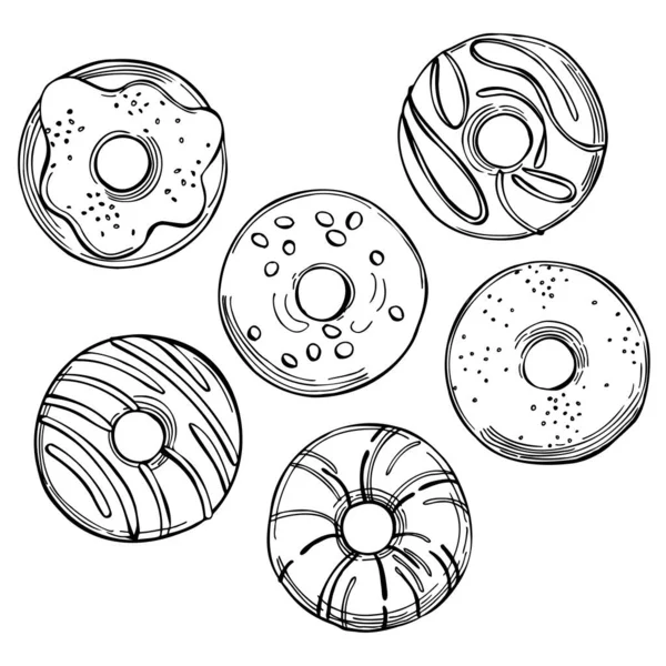 Hand Drawn Donuts Vector Sketch Illustration — Stock Vector