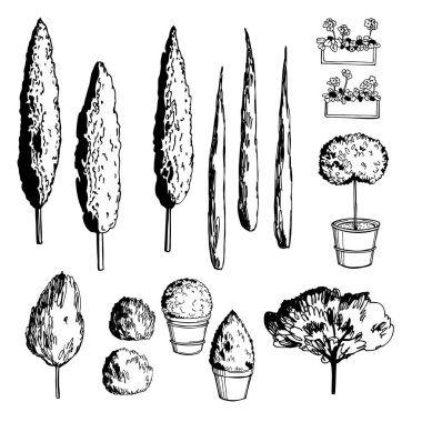 Hand darwn mediterranean trees. Vector  sketch  illustration.  