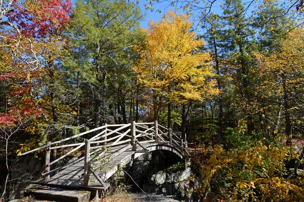 Rustikální Dřevěný Most Podzimní Listí Jezeře Minnewaska State Park Preserve — Stock fotografie
