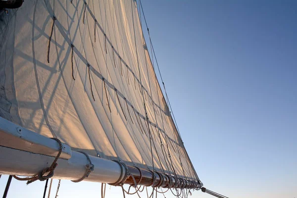 Zeilen Bevestigd Aan Houten Boom Een Vintage Zeilboot — Stockfoto