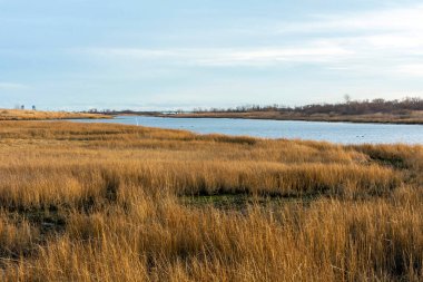 Gerritsen körfezinin Marine Park Salt Marsh 'taki akşam manzarası, Brooklyn, New York, ABD