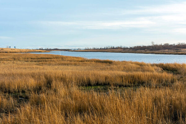 Вид на залив Герритсен из Трейла в морском парке Салт-Марш, Бруклин, штат Нью-Йорк, США
