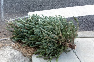 Çöp toplama için kaldırımda Noel Ağacı