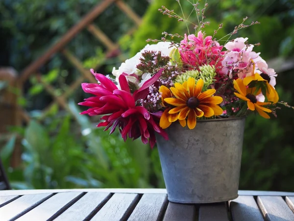 A nyári kert virágzó virágok — Stock Fotó